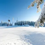 Praha 3* Destne v Orlickych horach